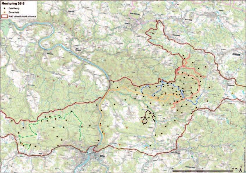 ní nabídka v našem regionu, která je mnohem častěji sporá než hojná.