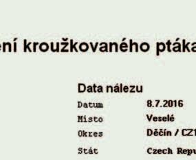 město kachna divoká M42 +F30 skorec vodní 5 ad +7 imm ledňáček říční 2 ad konipas horský - 1ad +3 imm volavka popelavá - 4 ad lyska černá - 2 ad kormorán velký - 4 ad Rybník