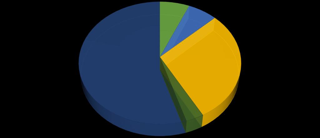 10.5.7 Užívání léků a doplňků stravy Doplňky stravy v podobě vitaminu D či vápníku užívají pouze 4 respondentky (13 %), hormonální antikoncepci bere 9 respondentek (29 %), léky na štítnou žlázu pouze