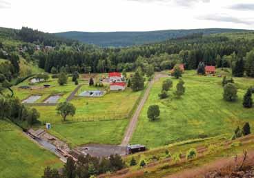 Rybí líheň pro odchov ryb v prostoru pod hrází Výhled z Jelení hory (994 m 