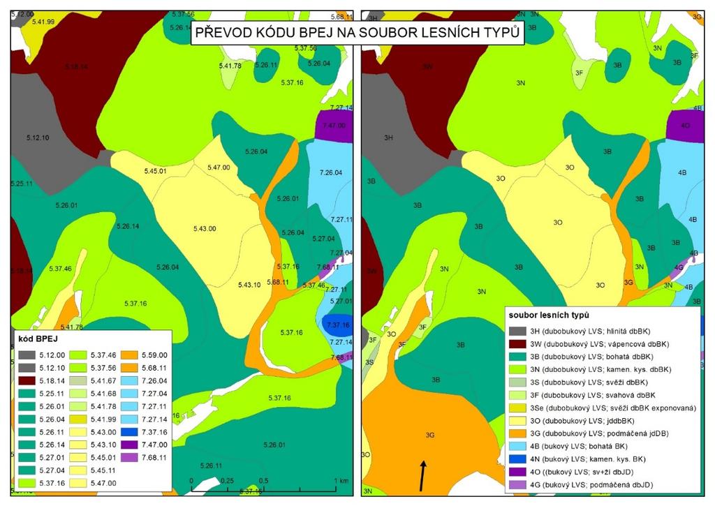 podloží, výskytem souvislé, výrazně skeletovité vrstvy nebo trvalé hladiny podzemní vody v profilu, a to na konvenční hloubku 150 cm.