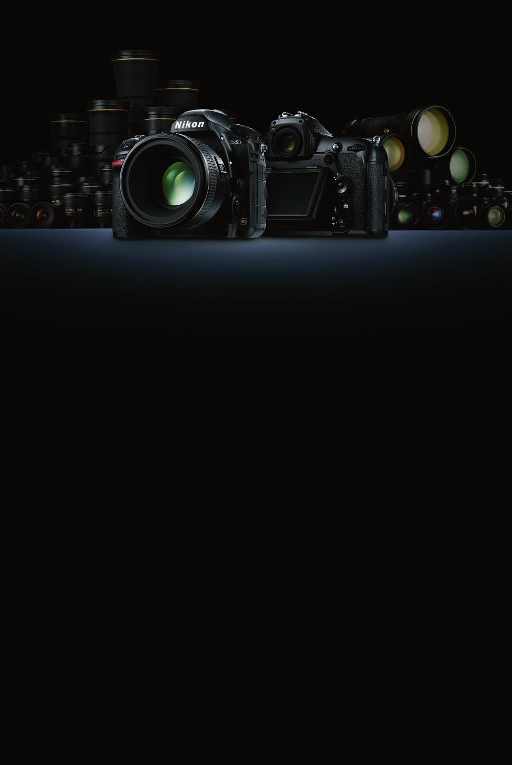 Objektiv: AF-S NIKKOR 70 200 mm f/2,8e FL ED VR Expoziční režim: Režim [M], 1/320 s, f/4 Vyvážení bílé barvy: Přímé sluneční světlo Citlivost ISO: ISO 64 Předvolba Picture Control: Automaticky Jerry