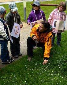 Naturkreislauf, Naturschutz, Geologie, Flora,