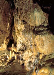 Okres Semily 3 Národní pfiírodní památka Bozkovské dolomitové jeskynû Vefiejnosti zpfiístupnûné krasové jeskynû na severozápadním okraji obce Bozkov.