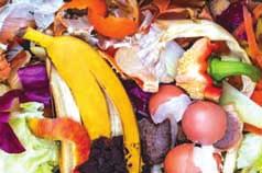) Tiskafiské barvy, tonery, inkousty Chladniãky a mrazáky obsahující freony Obrazovky Tûkavé látky, fotochemikálie, pesticidy Záfiivky a jin odpad obsahující rtuè Mezi bioodpad patfií: listí,