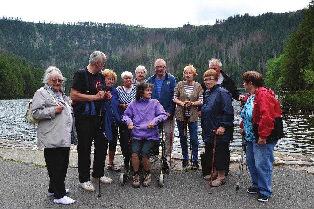 Výroční zpráva Společnosti Parkinson, z. s.