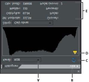 Histogram obrazu můžete zobrazit na panelu Histogram (F9). Histogramy jsou také k dispozici v dialogových oknech Úrovně a Camera Raw.