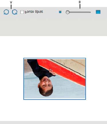 Celý katalog Zobrazí všechny fotografie ve vašem katalogu. Album Zobrazí fotografie z konkrétního alba. Album vyberte z nabídky.