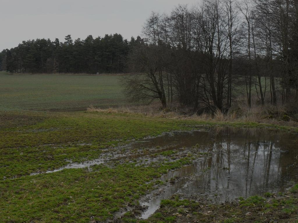 Degradace půdy Ztráta organické hmoty Každý jednotlivý degradační proces Vodní eroze Zhoršení půdní struktury vyvolává obvykle řetězovou