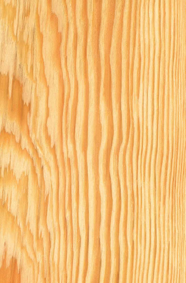 Technické podmínky a informace o terasách REAL DECK Spektrum barev Bangkirai, Massaranduba, Bukit, Merbau, Garapa, Ipe a Teak jsou dřeviny pocházející z jihovýchodní Asie a Jižní Ameriky a tyto