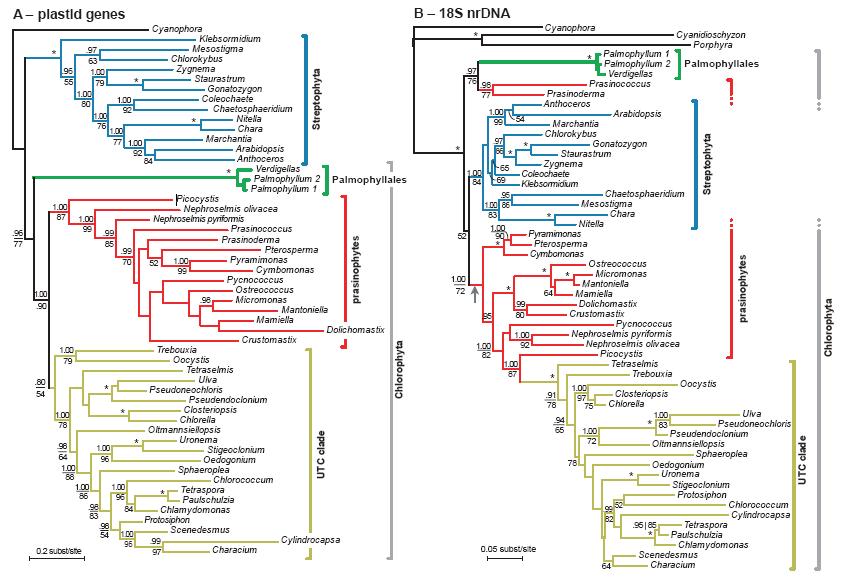 Zechmann et al