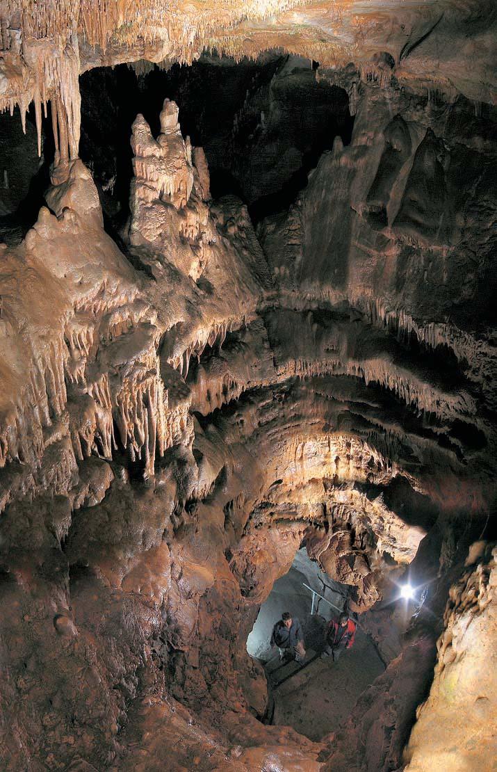 V nûkolika jeskyních zimují netop fii, k nejpoãetnûj ím patfií vrápenec mal (Rhinolophus hipposideros), netop r velk (Myotis myotis) a n. ãern (Barbastella barbastellus).