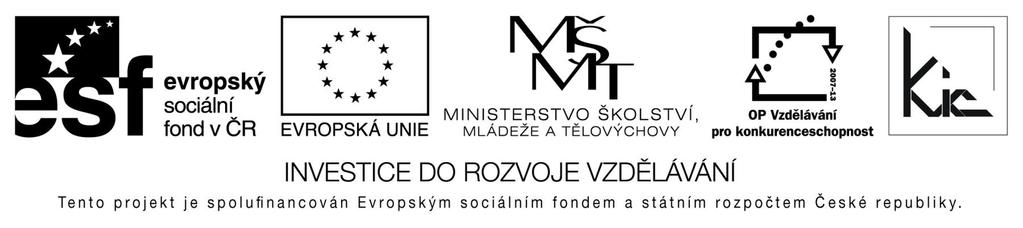 Výukový materiál pro projekt Perspektiva 2010 reg. č. CZ.1.07/1.3.05/11.