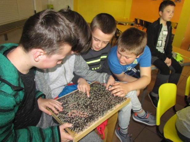 6. OSVĚTOVÁ KAMPAŇ DEN ZEMĚ Den Země se uskutečnil v pátek 20. dubna 2018. Účastni byli všichni žáci základních škol.