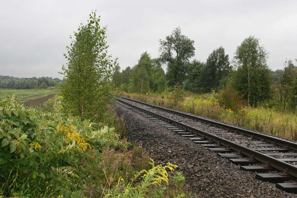 7 PŘÍLOHY Foto 1: pohled na