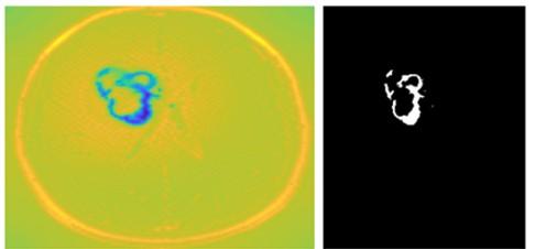 Matematický model patologické tkáně: E(φ) 0. Obrázek 37: Vlevo energetická mapa, vpravo binární model objektu Na Obr. 37 je zobrazena energetická mapa a binární model objektu.
