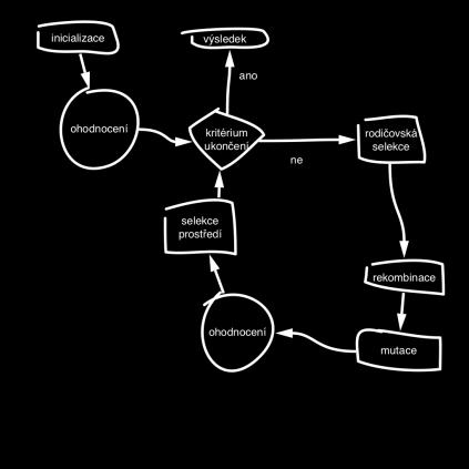 Obecný EA Náhodně vytvoř iniciální populaci P(0) V cyklu vytvářej P(t) z P(t+1): Výběr rodičů Rekombinace a mutace Tím