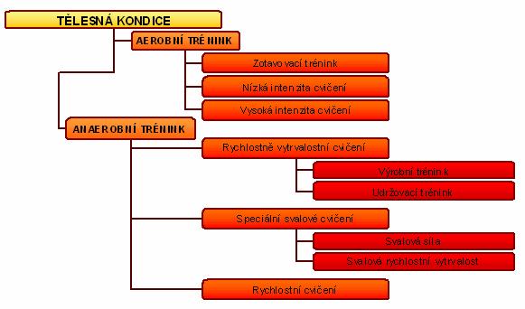 Tabulka 4 Součásti aerobního a anaerobního tréninku Zdroj: Elliot (1998) 5.