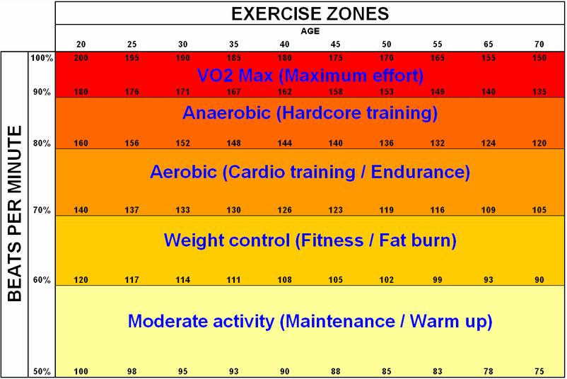 minutu spotřebovat, charakterizuje jeho aerobní výkon. Je to tzv. maximální spotřeba kyslíku (VO 2max ) uváděná v mililitrech za minutu na kg hmotnosti.