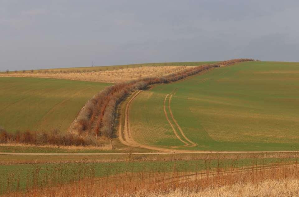 Dobré praktiky.