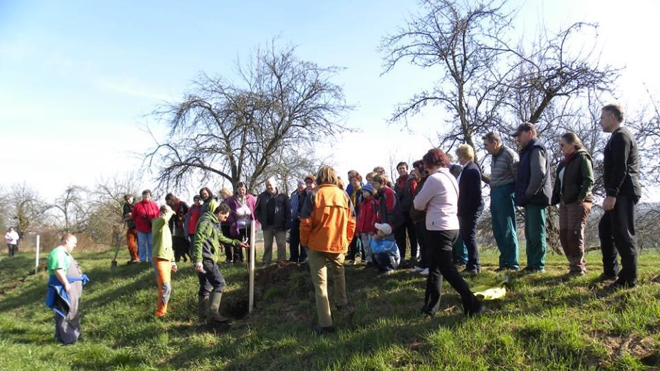 Million Fruit Trees: výsadby ovocných dřevin v