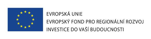 Vysoké učení technické v Brně Ústav geoniky AV ČR w w w.i t4i.