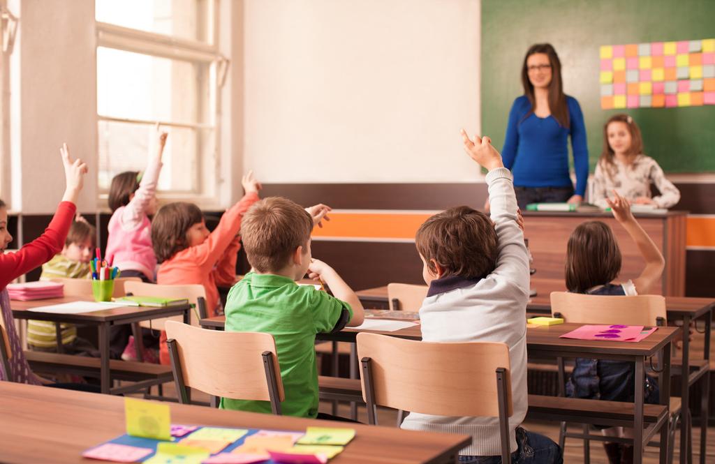 Podpora celoživotního průběžného vzdělávání pedagogů působících na soukromých i státních zařízeních, a to v podobě teoretického vzdělávání (workshopy, konference), tak i praktické inspirace (např.