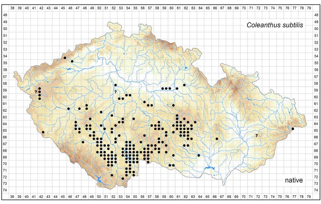 Distribution of Coleanthus subtilis in the Czech Republic Author of the map: Kateřina Šumberová, Michal Ducháček Map produced on: 08-08-2017 Database records used for producing the distribution map