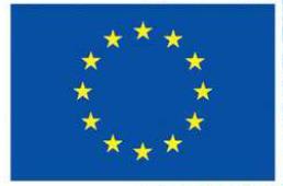 Povinné prvky vizuální identity OP PMP jsou ke stažení na OP PMP stránkách MPSV. 20.3.1 Znak EU Znak EU má obdélníkový tvar a obsahuje 12 pěticípých hvězd.