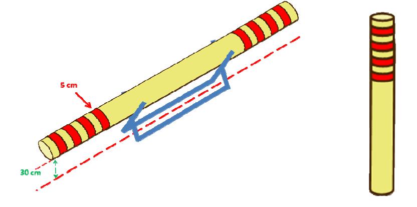 Na startovní čáře a u každého kmene je v místě řezu umístěn barevně označený kotouč (viz obr. 2 a 4). 6.