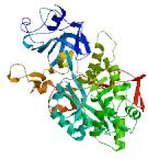 VÝSLEDKY A DISKUSE Enzym ureáza se skládá z 840 aminokyselinových zbytků a molekulová hmotnost je větší než 90 kda (označení podle databáze expasy-p07374).