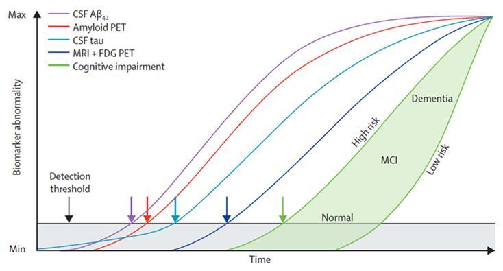 , Lancet Neurology, 8, 619-627, 29.