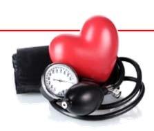 činnost Regulace krevního tlaku Nepostradatelný pro tvorbu HCl v