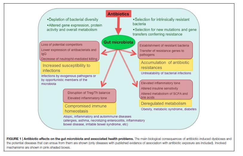 Francino MP (2016) Antibiotics and the Human Gut Microbiome: Dysbioses and