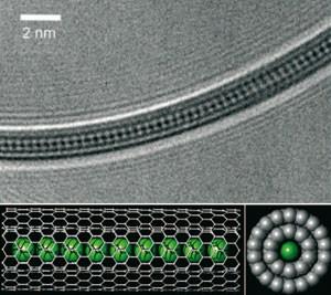 Nanotube peapod hrachový