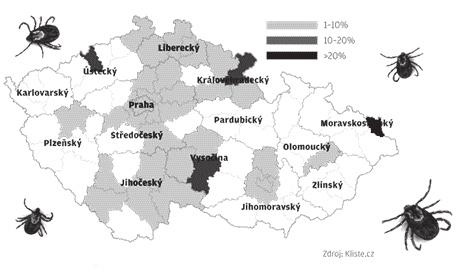 33 OTÁZKA 1: PENICILIN Kterou dvojici antibiotik penicilinové řady by lékař mohl zvolit pro léčení pacienta, pokud by nebyla přesně jasná příčina jeho bakteriálního onemocnění?