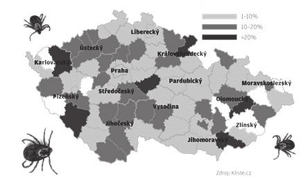 klíště obecné. Honza trávil léto u babičky na Karlovarsku, kde večer při mytí zjistil, že má na lýtku přisáté klíště. Klíště babička opatrně odstranila pinzetou a místo vydezinfikovala jodisolem.