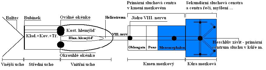 Dělení podle délky latence 2.6.1.