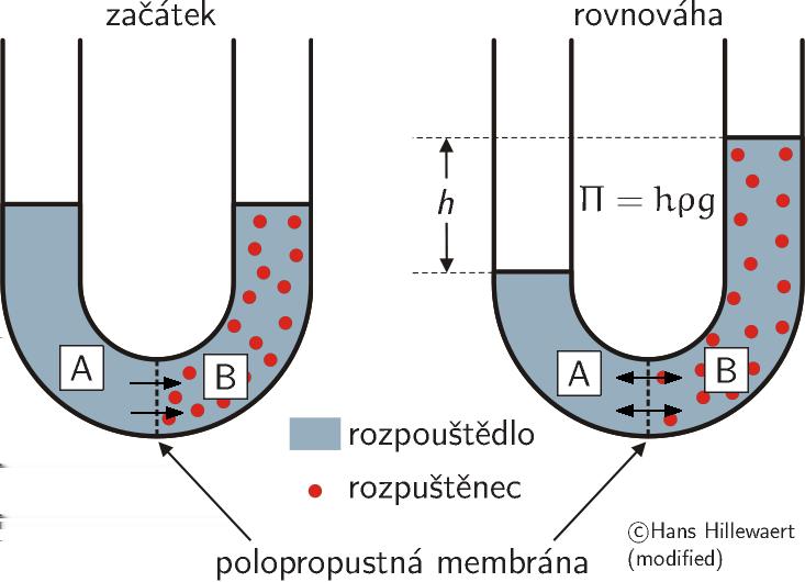 Kapitola 9 Koligativní vlastnosti Koligativní vlastnosti jsou vlastnosti, které závisí pouze na počtu částic (látkovém množství) určitých molekul.