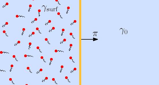 6: Fázový diagram DPPC (L-1,2-dipalmitoyl-sn-glycero-3-phosphocholin), látky vyskytující se v buněčné membráně [podle S. Roke et al.: Phys. Rev. Lett. 90, 128101 (2003)].