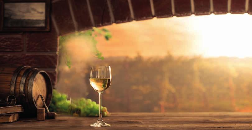 SLEVA 50 % Vybírejte z pestré nabídky vín a zásobte si svoji vinotéku
