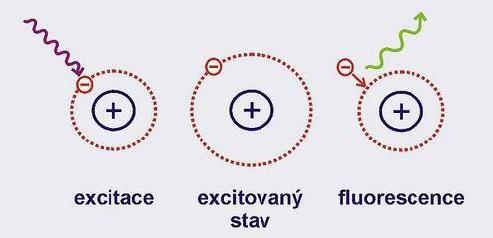 3 Fluorescence Atomy se mohou nacházet v základním energetickém stavu, jehož charakteristickou vlastností je minimální hodnota energie. Dalším možným stavem je stav excitovaný.