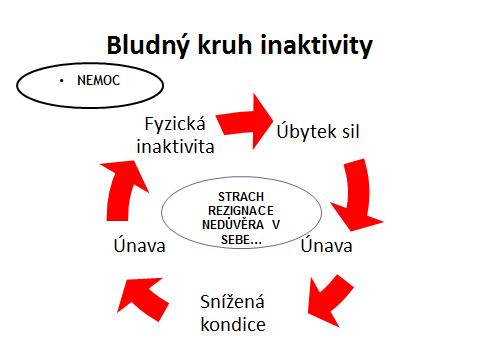 Cvičení-obecná doporučení