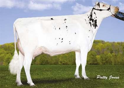 1% 917 3.2% 720 kg FLEVO GENETICS SNOWMAN VELTHUIS S G SNOW EVENING 02-04 305 13 130 4.1% 536 3.3% 439 kg Celoživotně: 31 483 4.1% 1 299 3.4% 1 083 kg Exteriér Stád: 0 Dcer: 0 R %: 79 2.