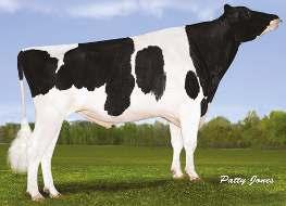 SULLY HART MERIDIAN NXB-264 DOMAIN x PLANET x SHOTTLE» excelentní utváření exteriéru» vysoká produkce mléka» vhodný na jalovice (Toystory x Outside) DN: 11.12.