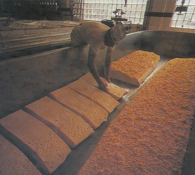 Sýry s mletou sýřeninou - Čedar Sýřenina se při vypouštění syrovátky shrabuje ke stranám, aby mohla volně odtékat (čedarování) Rozkrájená sýřenina se několikrát mele a solí Plnění do