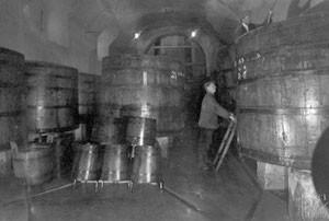 sebou část vysokomolekulárních dusíkatých a polyfenolových látek Pivo se čeří a získává