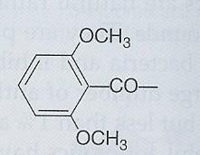 Methicilin (rezistentní k β-laktamáze)