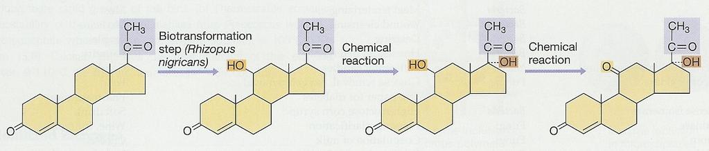 Steroidy a biotransformace Steroidy jsou deriváty sterolů, součástí řady hormonů regulujících některé metabolické dráhy.