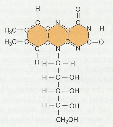 Micromonospora purpurea, Streptomyces aureofaciens, Streptomyces griseus Saccharomyces cerevisiae,